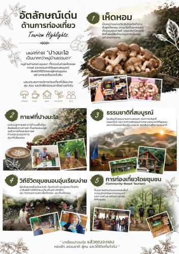  หนีความวุ่นวาย ไปพักใจที่ "บ้านปางมะโอ" เสน่ห์ที่มากกว่าหมู่บ้านธรรมดา