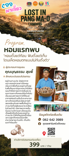 "LOST IN PANG MA-O: หลงไปในหมู่บ้านที่คุณ (อาจ) ไม่เคยรู้ว่ามีอยู่จริงในลำปาง"